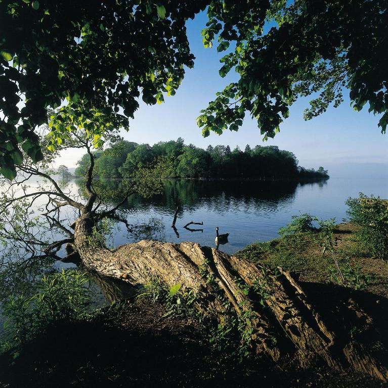 Hotel Residence Starnberger See Feldafing Eksteriør bilde